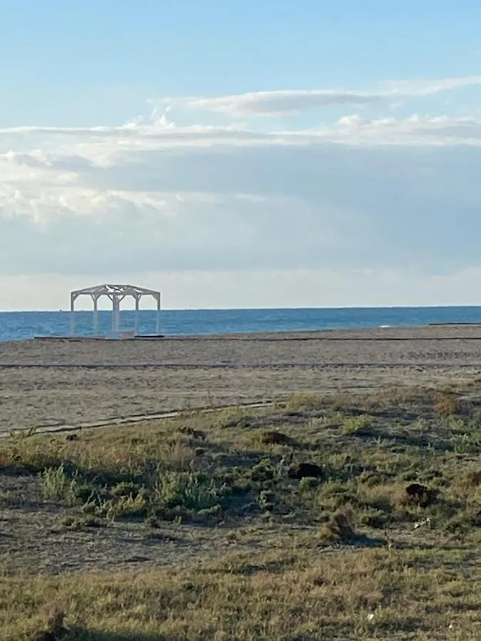 公寓 Tranquilidad Sol Playa Y Naturaleza 维拉 西班牙